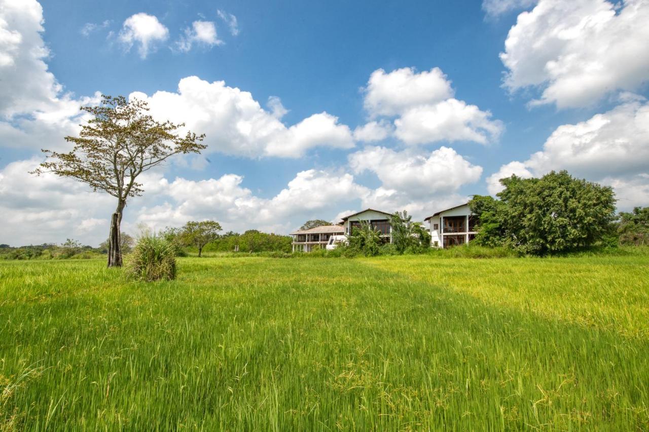 Hotel Ceylon Breeze Sigiriya Exteriér fotografie